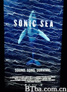 噪音海洋 Sonic Sea (2015) 1080P BT磁力 迅雷网盘下载