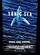 噪音海洋/Sonic Sea