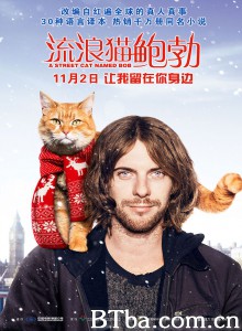 流浪猫鲍勃 街角遇见猫(港) 遇见街猫BOB(台) (2018) 1080P/720P BT磁力 迅雷网盘下载