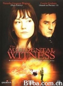 夺命目击/The Accidental Witness-720p|1080p高清bt种子下载