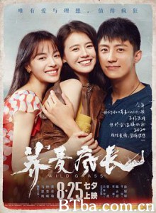 荞麦疯长 Wild Grass (2020)  BT磁力 迅雷网盘下载