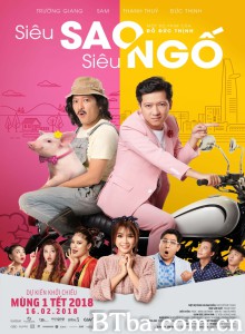 超懵巨星 Siêu sao siêu ngố‎ (2018) 1080P BT磁力 迅雷网盘下载