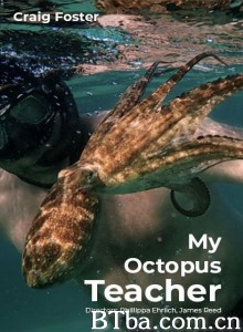 我的章鱼老师 My Octopus Teacher‎ (2020) 1080P/4K BT磁力 迅雷网盘下载