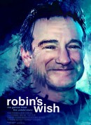 罗宾的愿望/Robin's Wish‎