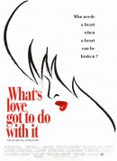 与爱何干/What's Love Got to Do with It‎