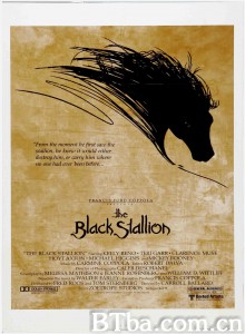 黑神驹 The Black Stallion‎ (1979) 1080P/720P BT磁力 迅雷网盘下载