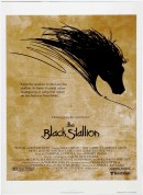 黑神驹/The Black Stallion‎