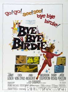 欢乐今宵 Bye Bye Birdie‎ (1963) 1080P BT磁力 迅雷网盘下载