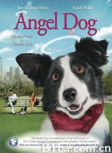 Angel Dog‎ (2011) 1080P BT磁力 迅雷网盘下载