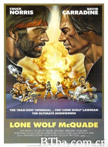 独行侠野狼 Lone Wolf McQuade‎ (1983) 1080P BT磁力 迅雷网盘下载