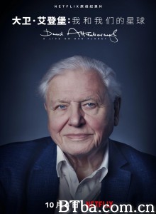 大卫·爱登堡：地球上的一段生命旅程 David Attenborough: A Life on Our Planet‎ (2020) 1080P/4K BT磁力 迅雷网盘下载-影音屋