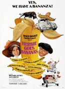 金龟车大闹南美洲/Herbie Goes Bananas‎