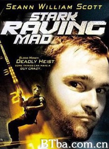 薯唛大贼 Stark Raving Mad‎ (2002) 1080P BT磁力 迅雷网盘下载