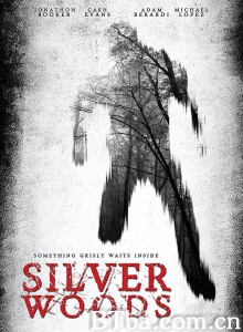 Silver Woods‎ (2017) 1080P BT磁力 迅雷网盘下载