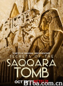 塞加拉陵墓揭秘 Secrets of the Saqqara Tomb‎ (2020) 1080P/720P BT磁力 迅雷网盘下载