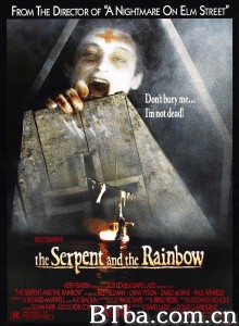 蛇与彩虹 The Serpent and the Rainbow‎ (1988) 1080P BT磁力 迅雷网盘下载