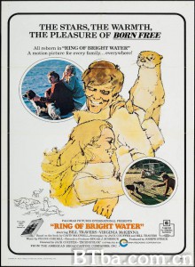 犹在波光中 Ring of Bright Water‎ (1969) 1080P/720P BT磁力 迅雷网盘下载