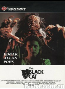 黑猫 Il gatto nero‎ (1991) 1080P/720P BT磁力 迅雷网盘下载