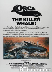 杀人鲸 Orca‎ (1977) 1080P BT磁力 迅雷网盘下载
