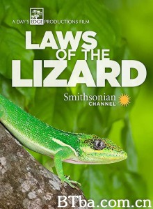 蜥蜴法则 Laws of the Lizard‎ (2017) 1080P BT磁力 迅雷网盘下载