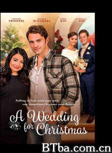 圣诞婚礼 a wedding for Christmas‎ (2018) 1080P BT磁力 迅雷网盘下载