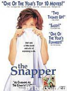 唠叨人生 The Snapper  (TV)‎ (1993) 1080P BT磁力 迅雷网盘下载