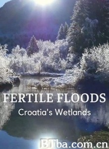 Fertile Floods: Croatia's Wetlands‎ (2018) 1080P BT磁力 迅雷网盘下载