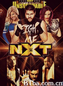 WWE NXT‎ (2010) 1080P/720P BT磁力 迅雷网盘下载