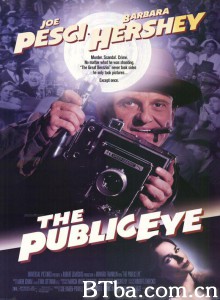 公众之眼 The Public Eye‎ (1992) 1080P/720P BT磁力 迅雷网盘下载