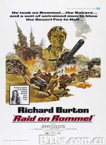 黎明时战火纷飞 Raid on Rommel‎ (1971) 1080P/720P BT磁力 迅雷网盘下载