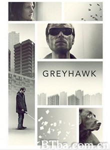 灰鹰 Greyhawk‎ (2014) 1080P BT磁力 迅雷网盘下载