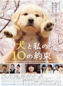 狗狗与我的十个约定 犬と私の10の約束‎ (2009) 1080P BT磁力 迅雷网盘下载