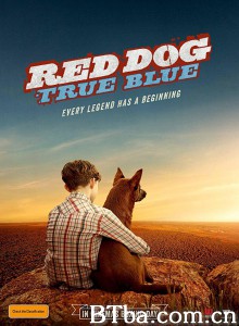 红犬历险记2：蓝犬 Red Dog: True Blue‎ (2016) 1080P BT磁力 迅雷网盘下载