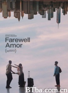 再见吾爱 Farewell Amor‎ (2020) 1080P/720P 高清免费观看 BT磁力 迅雷网盘下载