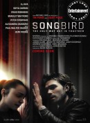 鸣鸟/Songbird‎