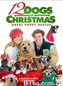 圣诞节的十二只狗狗 12 Dogs of Christmas: Great Puppy Rescue‎ (2012) 1080P BT磁力 迅雷网盘下载