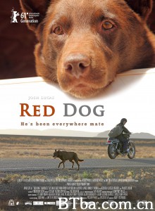 红犬历险记 红犬背包客(台) Red Dog‎ (2011) 1080P/720P BT磁力 迅雷网盘下载