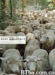 香草 青青绿草(台) Sweetgrass‎ (2009) 1080P/720P BT磁力 迅雷网盘下载