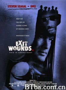 以毒攻毒 Exit Wounds‎ (2001) 1080P/720P BT磁力 迅雷网盘下载
