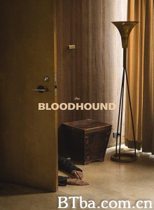 猎犬 The Bloodhound‎ (2020) 1080P/720P BT磁力 迅雷网盘下载