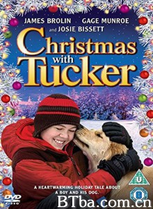 与塔克的圣诞节 Christmas with Tucker‎ (2013) 1080P BT磁力 迅雷网盘下载