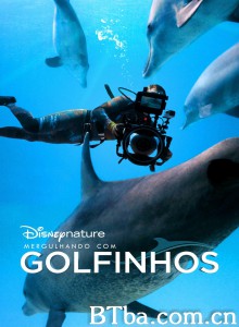 《海豚礁》幕后特辑 Diving with Dolphins‎ (2020) 1080P/720P BT磁力 迅雷网盘下载