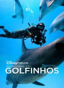 《海豚礁》幕后特辑/Diving with Dolphins‎
