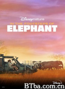 《大象》幕后特辑 In the Footsteps of Elephant‎ (2020) 1080P/720P BT磁力 迅雷网盘下载