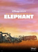 《大象》幕后特辑/In the Footsteps of Elephant‎