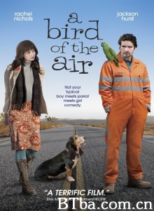 空中的飞鸟 A Bird of the Air‎ (2011) 1080P BT磁力 迅雷网盘下载