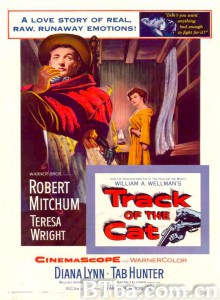 雪山恨 Track of the Cat‎ (1954) 1080P BT磁力 迅雷网盘下载