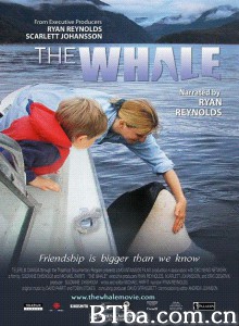 虎鲸 The Whale‎ (2010) 1080P BT磁力 迅雷网盘下载
