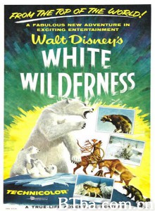 白色的荒地 White Wilderness‎ (1958) 1080P BT磁力 迅雷网盘下载
