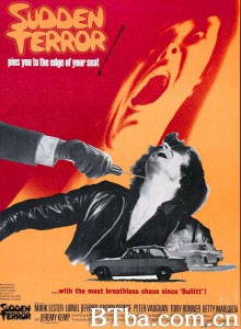 小英雄与大刺客 Eyewitness‎ (1970) 1080P/720P BT磁力 迅雷网盘下载
